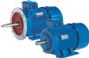 gost standard three-phase induction motor